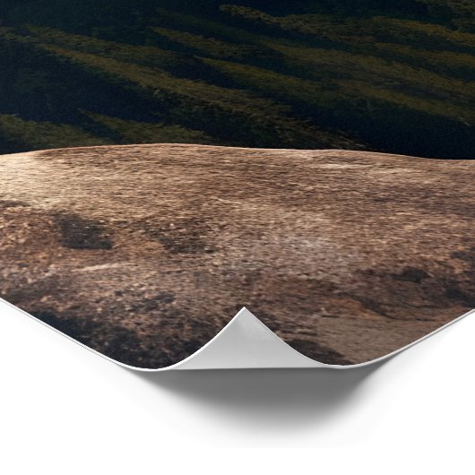 Goddelijk standbeeld: De Heer is mijn rots Poster (Hoek)