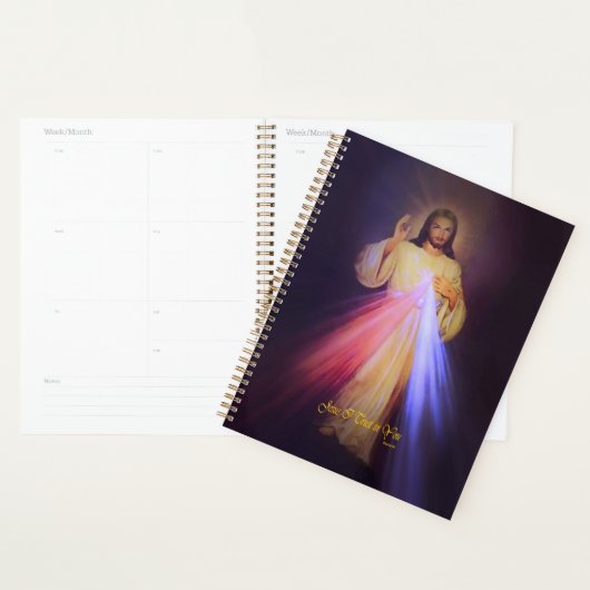 Goddelijke barmhartigheid goud met gebed in de kap planner (Display)