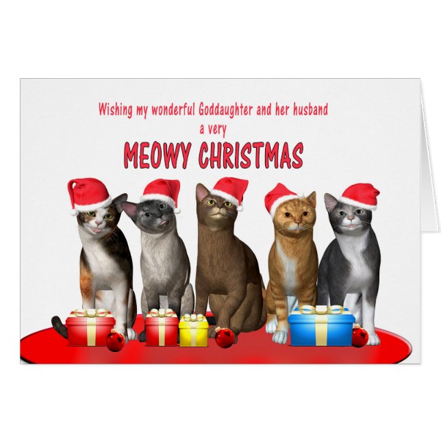 Goddochter en echtgenoot, katten in kerstpetten (Voorkant Horizontaal)