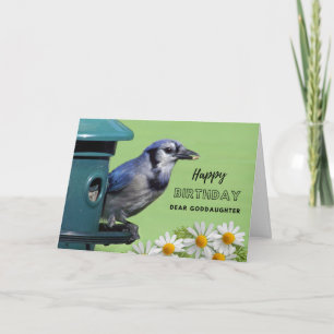 Goddochter verjaardag Blauwe Gaai bij vogelvoederb Kaart