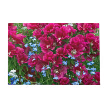 Godetia en Lobelia