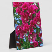 Godetia en Lobelia Fotoplaat (Zijkant)