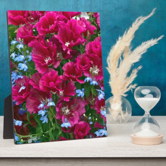 Godetia en Lobelia Fotoplaat (Zijkant)