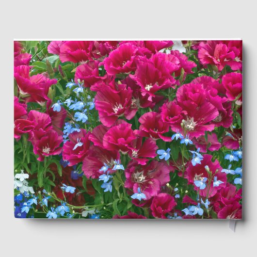 Godetia en Lobelia Gastenboek (Achterkant)