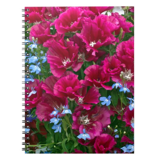 Godetia en Lobelia Gifts Notitieboek (Voorkant)