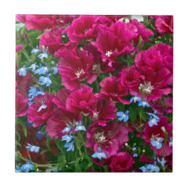 Godetia en Lobelia Gifts Tegeltje