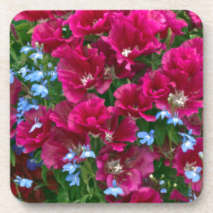 Godetia en Lobelia Onderzetters