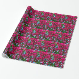 Godetia en Lobelia-pakpapier Cadeaupapier