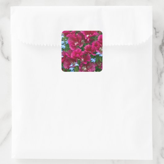 Godetia en Lobelia Vierkante Sticker (Tas)