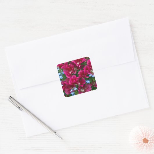 Godetia en Lobelia Vierkante Sticker (Envelop)
