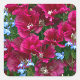 Godetia en Lobelia Vierkante Sticker
