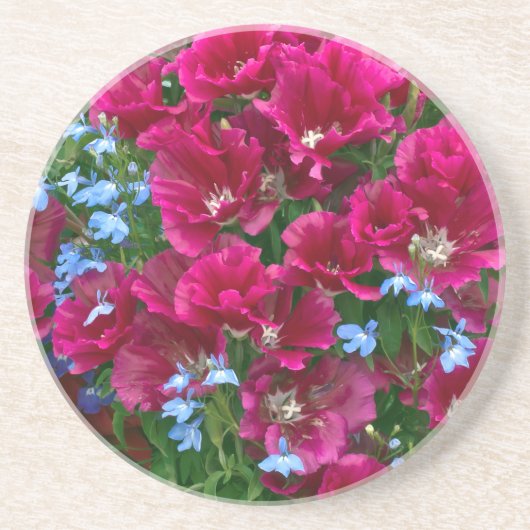 Godetia en Lobelia Zandsteen Onderzetter (Voorkant)