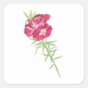 Godetia vierkante sticker