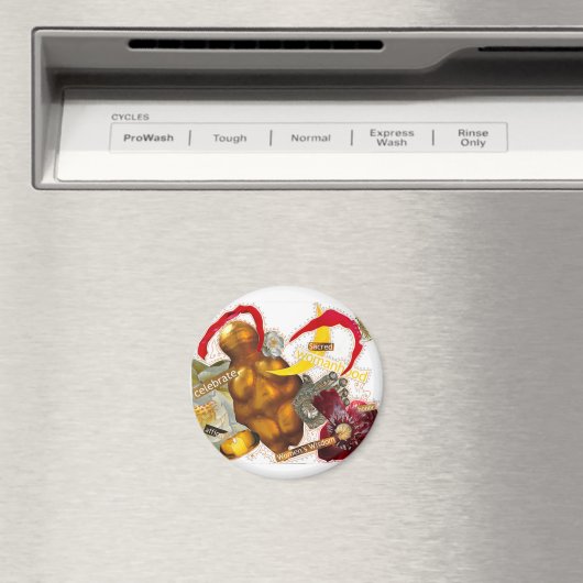 Godin Magnet (Insitu (Vaatwasser))