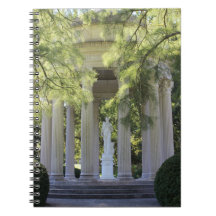 Godin van bescherming