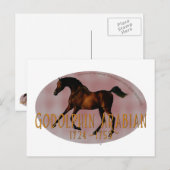 Godolphin Arabian Briefkaart (Voorkant / Achterkant)