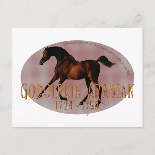 Godolphin Arabian Briefkaart (Voorkant)