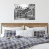 Godolphin Arabische Paarden Canvas Afdruk (Insitu (Slaapkamer))