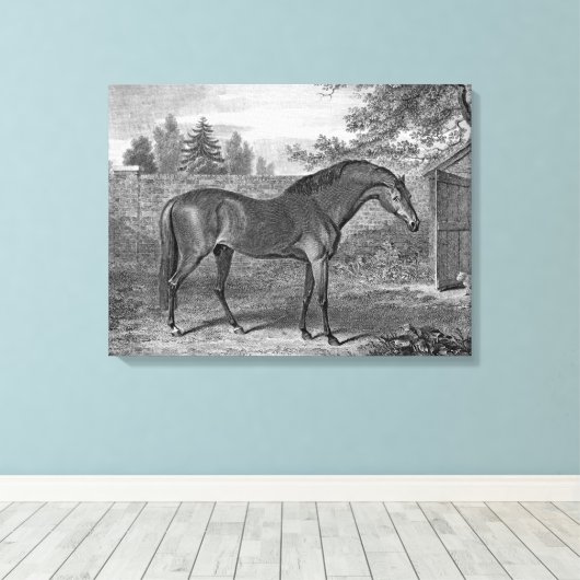 Godolphin Arabische Paarden Canvas Afdruk (Insitu (Houten vloer))