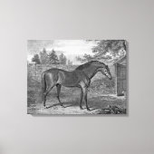 Godolphin Arabische Paarden Canvas Afdruk (Voorkant)