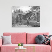 Godolphin Arabische Paarden Canvas Afdruk (Insitu (Woonkamer))
