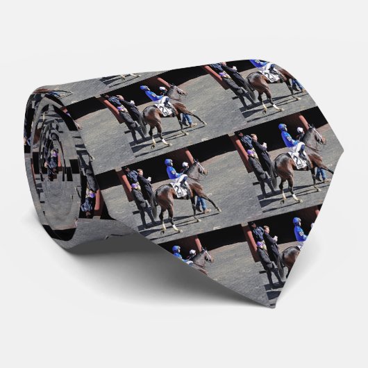 Godolphin Stables "Penwith" Stropdas (Opgerold)