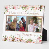 Godouders verslaafd fotoplaat (Zijkant)