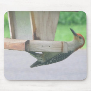 Gods Blessing Muismat