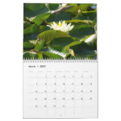 Gods creaties kalender (Mar 2027)