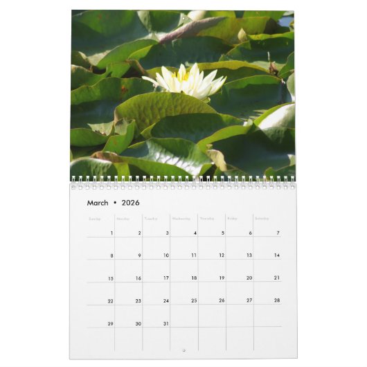 Gods creaties kalender (Mar 2026)