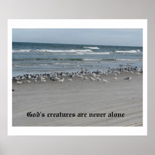 Gods creaties zijn nooit alleen een Poster van 24 