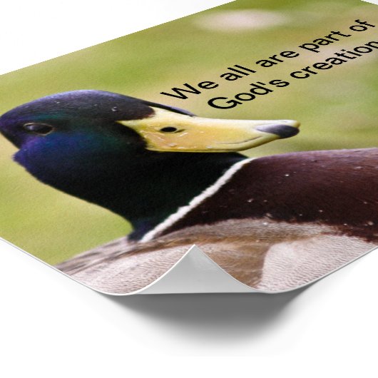 Gods Creation Duck Poster (Hoek)