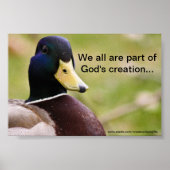 Gods Creation Duck Poster (Voorkant)