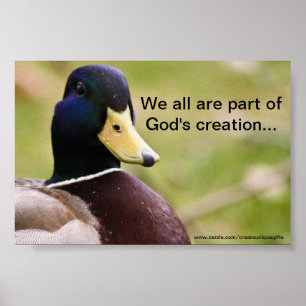Gods Creation Duck Poster