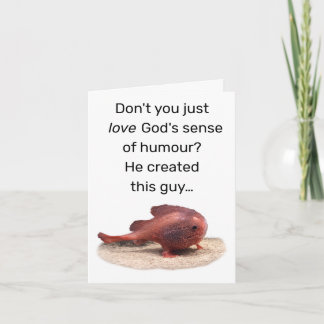 Gods eigenaardige schepping notitiekaartje