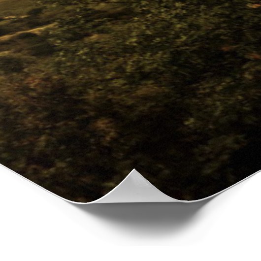 "Gods grootste wonder is berging" profetisch Poster (Hoek)