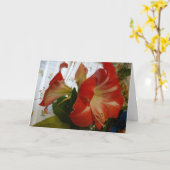 Gods gunst, Stargazer Amaryllis Kaart (Gele Bloem)