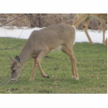 Gods Hands Staand Fotobeeldje<br><div class="desc">Een deer die gras voedert</div>