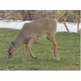 Gods Hands Staand Fotobeeldje