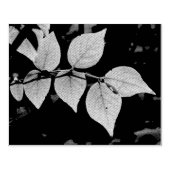 Gods handwerk rubberstempel (Afrduk)