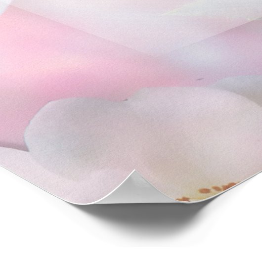 Gods Help Dag tegen Dag Poster (Hoek)