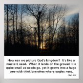 Gods koninkrijk Nest Poster (Voorkant)