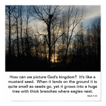 Gods koninkrijk Nest