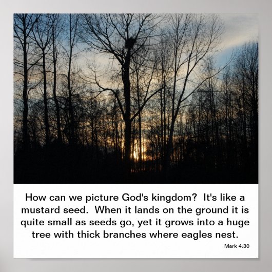 Gods koninkrijk Nest Poster (Voorkant)