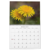 Gods mooie wereld #4 kalender (Mar 2027)