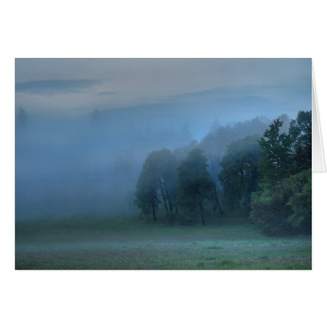 God's Pasture, Misty Forest & Field Natuur Scene 2 (Voorkant Horizontaal)