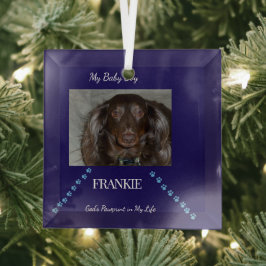 God's Pawprint Keepsake Glas Ornament