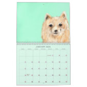 God's Peace Calendar  Kalender (Jan 2026)