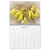 Gods prachtige World Calendar #6 Kalender (Jan 2027)