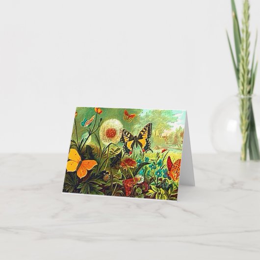 "Gods schepping" Kaart (Voorkant)